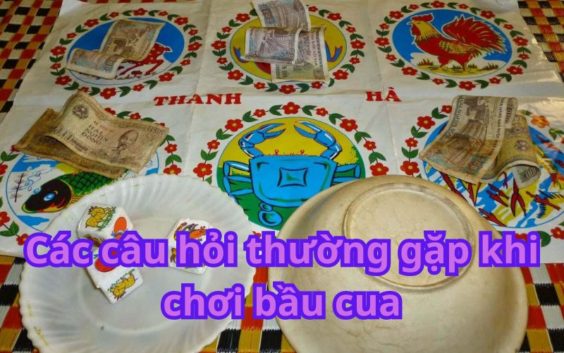 Các câu hỏi khi chơi bầu cua