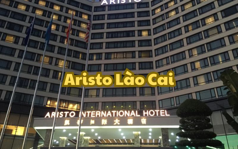 Aristo Lào Cai