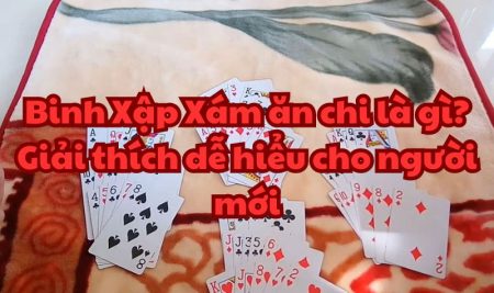 Binh Xập Xám ăn chi là gì? Giải thích dễ hiểu cho người mới