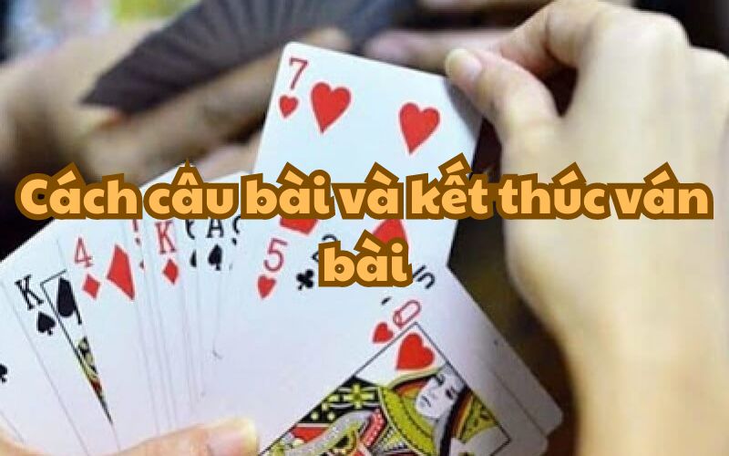 Câu bài trong bài câu cá là như thế nào