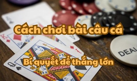 Cách chơi bài câu cá – Bí quyết để thắng lớn