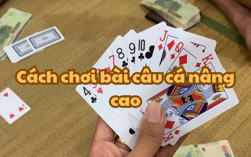 Cách chơi bài câu cá nâng cao nhằm giúp bạn lên trình