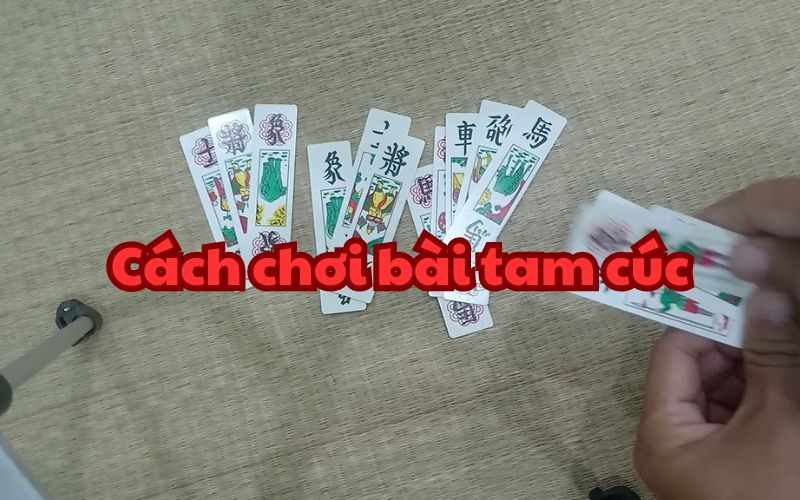 Cách chơi bài tam cúc cơ bản cho những người mới bắt đầu