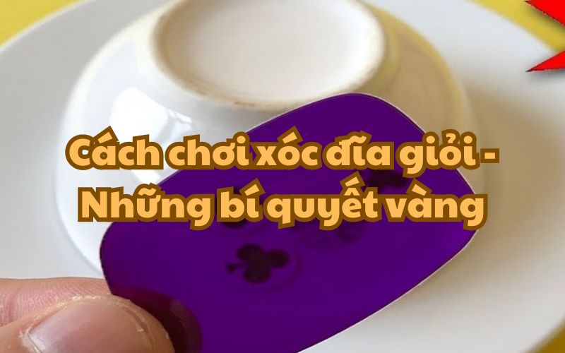 Những bí quyết mà bạn nên biết trước khi chơi xóc đĩa