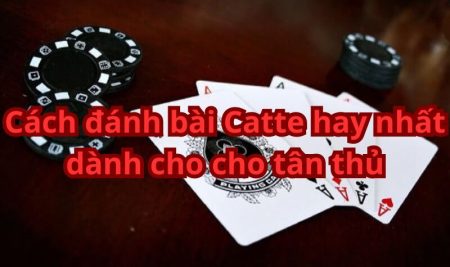 Cách đánh bài Catte hay nhất dành cho cho tân thủ