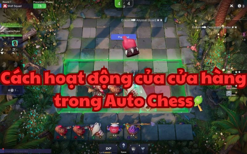 Cửa hàng trong AutoChess