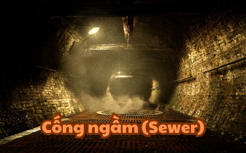 Cống ngầm (Sewer)