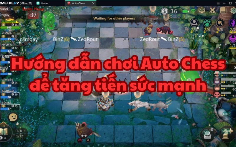 Hướng dẫn chơi Auto Chess để nhanh lên cấp