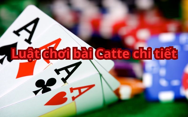 Luật chơi bài Catte chi tiết