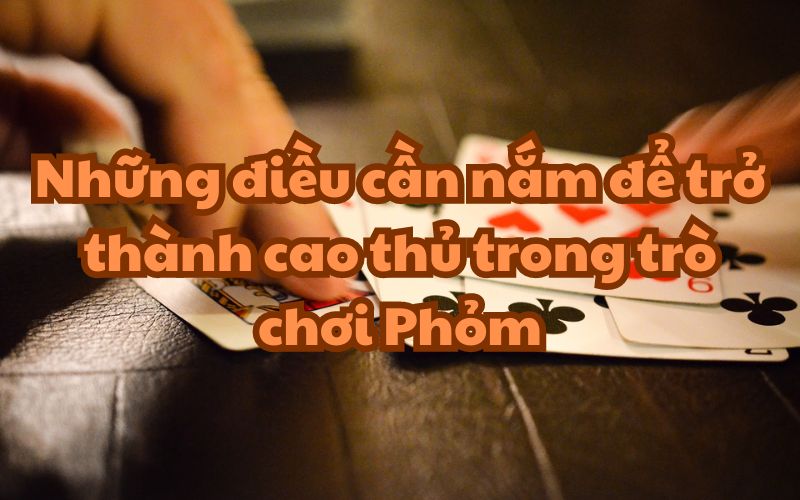 Trở thành cao thủ trong Phỏm