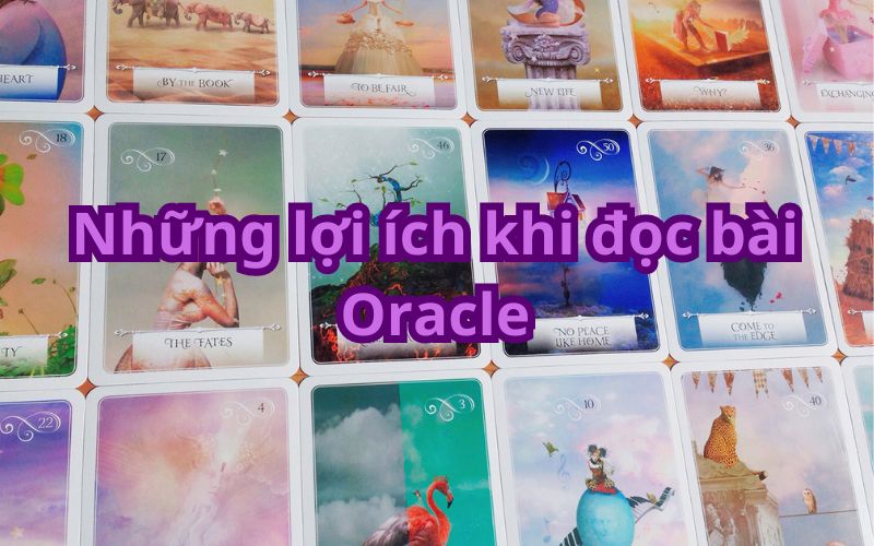 Những lợi ích khi đọc bài Oracle