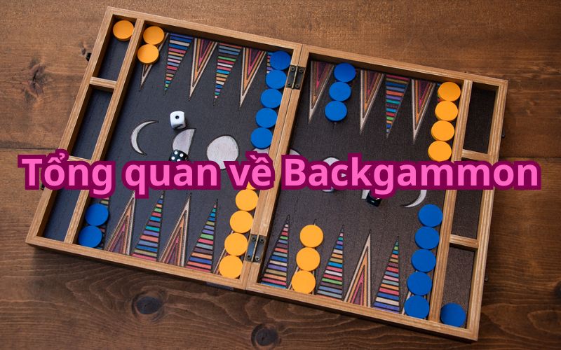 Tổng quan về Backgammon