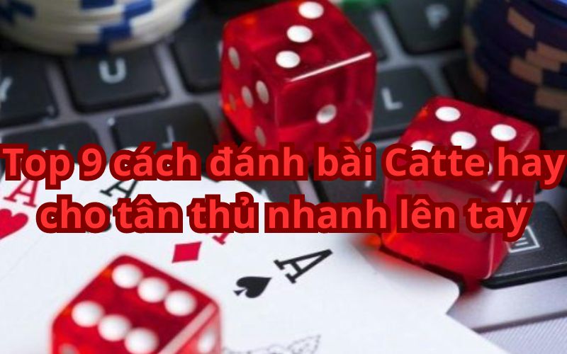 Top 9 cách đánh bài Catte hay nhất dành cho tân thủ