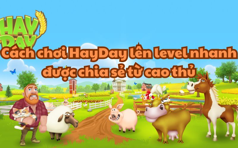 Cách chơi HayDay lên level nhanh được chia sẻ từ cao thủ